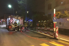 46443350_1959065534394751_1310323594919673856_n